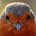 Luc Roosen (@bosw8erluc) Twitter profile photo Luc Roosen (@bosw8erluc) Twitter profile photo