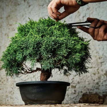 Randomnzone's profile picture. Para que lees esto?