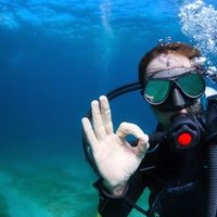 gnjurac (@gnjurac__) 's Twitter Profile
