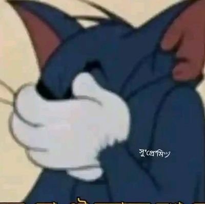 MdJehad53189's profile picture. No