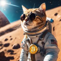 OrangeCat.btc⚡️ (@orangecat_99) 's Twitter Profile
