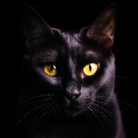 Lyda Heymann โ๏ธ (@blue_johnny_) 's Twitter Profile Photo Lyda Heymann โ๏ธ (@blue_johnny_) 's Twitter Profile Photo