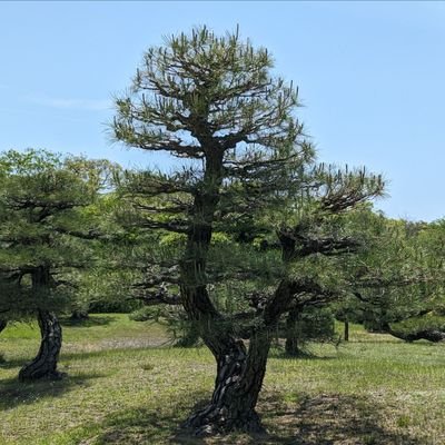 25.07.03🌸簿記2級
24.05.27🌸簿記3級
ちまちま資格勉強/30代社会人/いろいろあるけどさァ…ガンバロッ!!