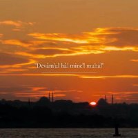 i.Atik (@iatik2232) 's Twitter Profile Photo i.Atik (@iatik2232) 's Twitter Profile Photo