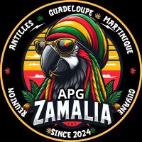 APG ZAMALIA (@zamalantilles) 's Twitter Profile
