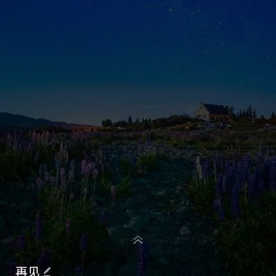 yujiali15941006's profile picture. 