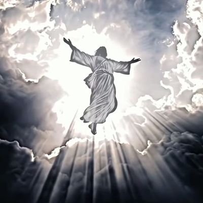 elohimjoseph7's profile picture. @Elohim || Forex trader || Logic over pattern 📉📈📊 || structure Liquidity POI