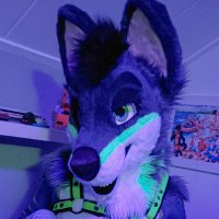 Rayzar Wolf Spicy ed. (@rayzarad) 's Twitter Profile