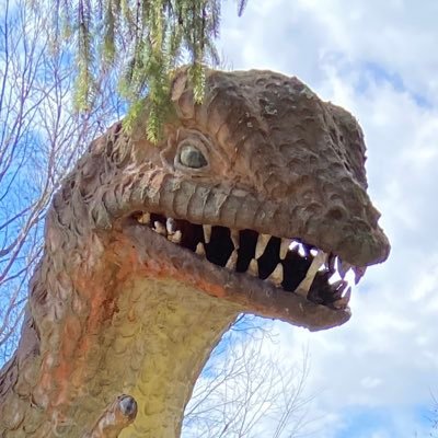 PitaGriffin's profile picture. A feast for the intellect, and a voyage for the imagination