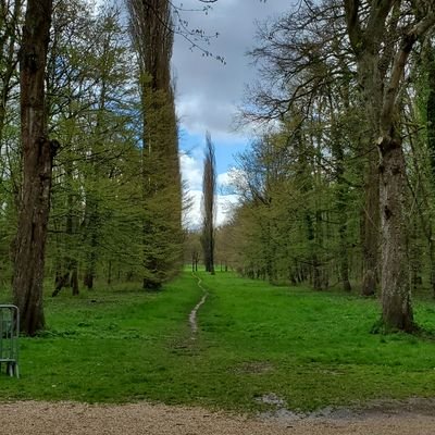 JFournierArt's profile picture. 