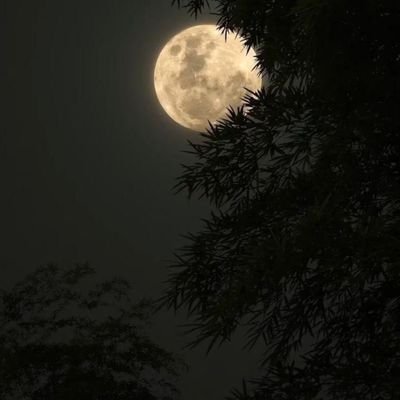 قَدْ يملأ الرحمن حياتك بالتوفيق بدعوة من مكروب كنت يوماً ما سبباً بسيطاً في تفريج كربته وتيسير أمره 🩵