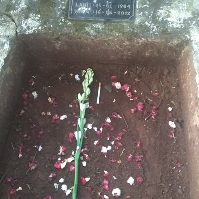 eNengDesa's profile picture. an ordinary 🐝 🐝 lovers