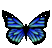 bluemorpho tattoo