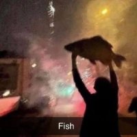 fishWindowsmedia ・ 。 ∴。 ・゚*。. ・ *゚ ・ ゚* (@windowsdown2006) 's Twitter Profile