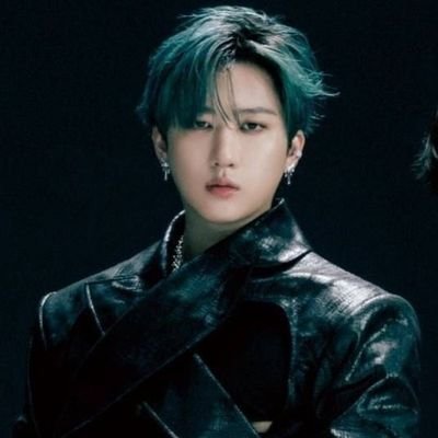binncollector's profile picture. ୨ 🕷️ .˗ˏˋ 𝖇𝖎𝖓𝖓'𝖘 ˎˊ˗. 🕸️ ୧. changbin × matthew collector !!!