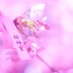 こーべー (@ko_be_avril) Twitter profile photo こーべー (@ko_be_avril) Twitter profile photo
