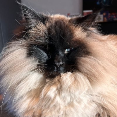 G3ografie's profile picture. 