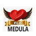 EMBAIXADA FLAMEDULA OFICIAL (@flamedula) Twitter profile photo EMBAIXADA FLAMEDULA OFICIAL (@flamedula) Twitter profile photo