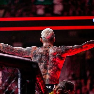 bezveze_14's profile picture. 