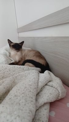 heloise435929's profile picture. Portadores necessidades