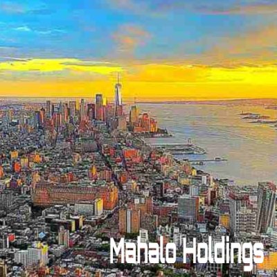 マハロ・フィナンシャル・マネジメント / とある米法人グループ ( EHI Co., Ltd. / in Hudson Yards ) 年間純利益10億ドルを目指すグループ内企業の非公式アカウント / マハロは愛称名 / 法人団体対象アカウント / ✕で営利活動はしていません