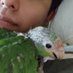 taserhamg (@taserhamg) Twitter profile photo taserhamg (@taserhamg) Twitter profile photo