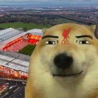 POOLZAO DA GALERA (@portalpoolzao) 's Twitter Profile