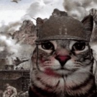 kat ^^ (@frankie_furter1) 's Twitter Profile Photo kat ^^ (@frankie_furter1) 's Twitter Profile Photo