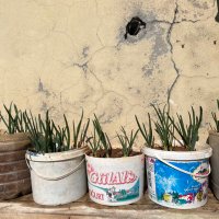 Diyetisyenimsi (@_diyetisyenmsi) Twitter profile photo