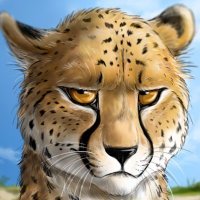 Scottishchee (@scottishchee) 's Twitter Profile Photo Scottishchee (@scottishchee) 's Twitter Profile Photo