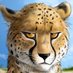 Scottishchee (@scottishchee) Twitter profile photo Scottishchee (@scottishchee) Twitter profile photo