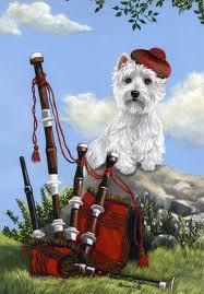 exploreloch's profile picture. Photos, information and news from around Loch Lomond.