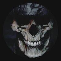 Deltaroo 🐺 (@deltaroo3d) 's Twitter Profile