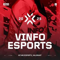 VINFO Esports (@vinfo_esports) 's Twitter Profile