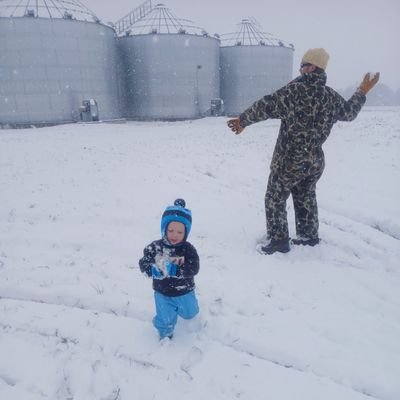 WhiteheadFarms's profile picture. 