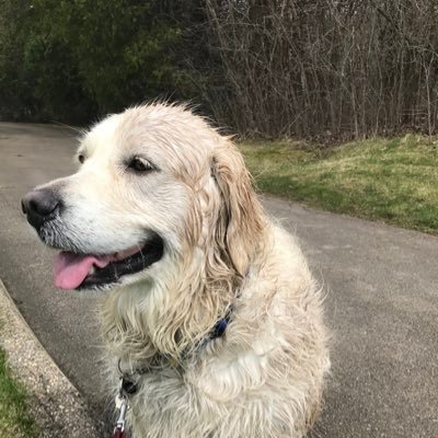 sandeepstarmd's profile picture. 