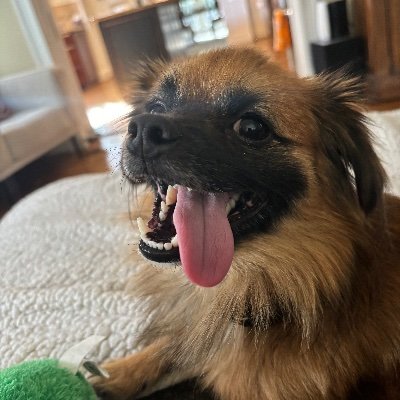 CincyKid011's profile picture. 