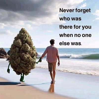 EatTheTHC's profile picture. Autistic. Self diagnosis.