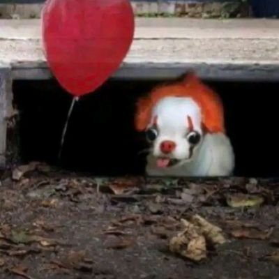 voiz5572's profile picture. 