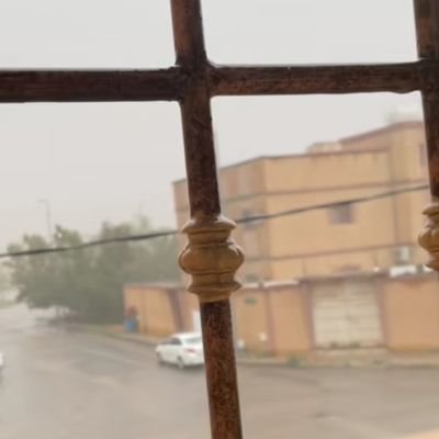 mo6bbl's profile picture. 😴❤...