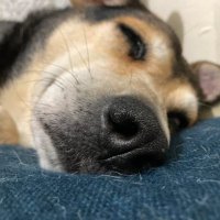 DD (@hmu28255) 's Twitter Profile