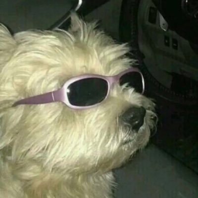 lflorals2's profile picture. 8teen.   CW:112.    GW:100