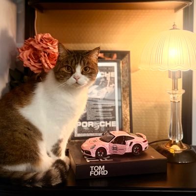 mancamcatasmr's profile picture. Youtube : Man&Cam Cat Asmr