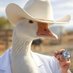 Dr. Goose🪿 Ⓜ️ (@monrazmx) Twitter profile photo Dr. Goose🪿 Ⓜ️ (@monrazmx) Twitter profile photo
