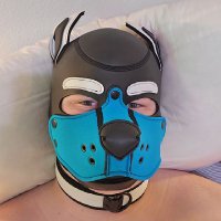 PUP ZANDER (@puplucassssss) 's Twitter Profile