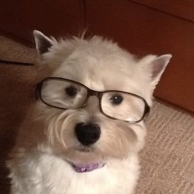 JimyeongI's profile picture. (.◜◡◝)