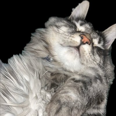 seeminglyrhyan's profile picture. she/her 28