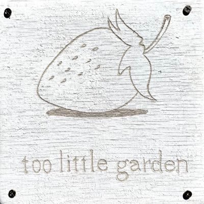 toolittle_berry's profile picture. 超美味しい夏秋いちご「八ツ姫」の魅力を伝えたい/新規就農を目指す方へ →https://t.co/QJlHWFtDCE