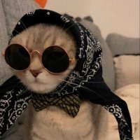Nana (@nanansrs) 's Twitter Profile
