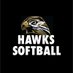 Horace Hawks Softball (@horacehawkssb) Twitter profile photo Horace Hawks Softball (@horacehawkssb) Twitter profile photo